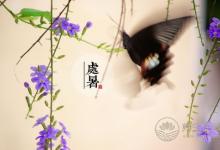 處暑養生要做的9件事 做好不生病