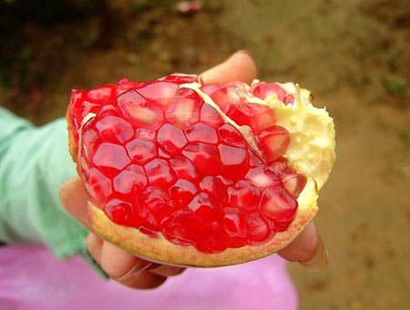 石榴的養(yǎng)生功效石榴和什么搭配榨汁
