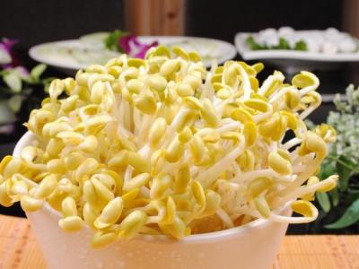 黃豆芽和哪些食材一起炒營養(yǎng)更好