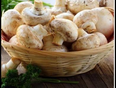 哪些食物有殺菌和防感染增強(qiáng)免疫力的功效