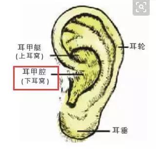 這一位置,拉的越大,腎就就越好,男人女人都合適-易網(wǎng)健康養(yǎng)生網(wǎng) 這一位置,拉的越大,腎就就越好,男人女人都合適