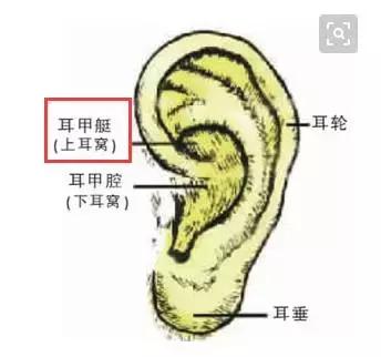 這一位置,拉的越大,腎就就越好,男人女人都合適-易網(wǎng)健康養(yǎng)生網(wǎng) 這一位置,拉的越大,腎就就越好,男人女人都合適