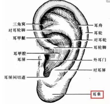 這一位置,拉的越大,腎就就越好,男人女人都合適-易網(wǎng)健康養(yǎng)生網(wǎng) 這一位置,拉的越大,腎就就越好,男人女人都合適
