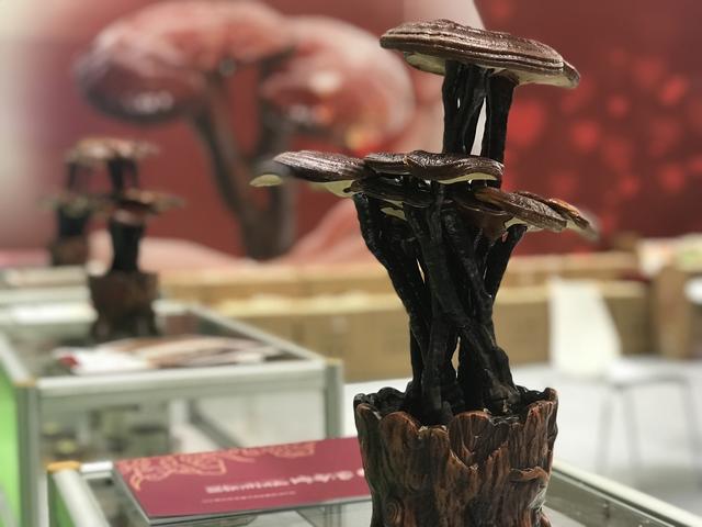 怎樣煲養生湯?廣州琶洲這里有民俗高手 當場解讀和制做!-易網健康養生網 怎樣煲養生湯?廣州琶洲這里有民俗高手 當場解讀和制做!