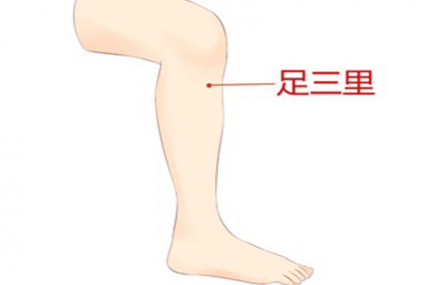 身體哪個(gè)穴位可以祛風(fēng)祛濕 濕氣重時(shí)身體會(huì)有哪些表現(xiàn)