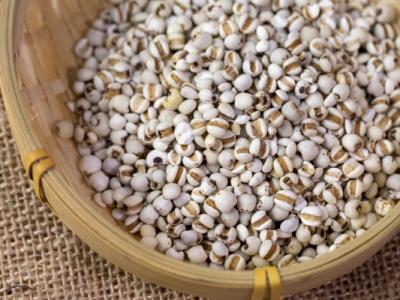薏米怎么吃去濕氣效果好 食用薏米的注意事項(xiàng)