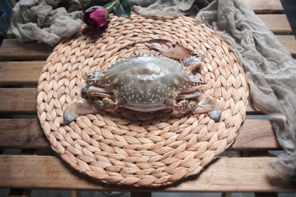 梭子蟹開鍋蒸多久最佳時間 六兩梭子蟹蒸多久-易網健康<a href=http://www.fnaogov.cn/jkys/ target=_blank class=infotextkey>養生</a>網 梭子蟹開鍋蒸多久最佳時間 六兩梭子蟹蒸多久