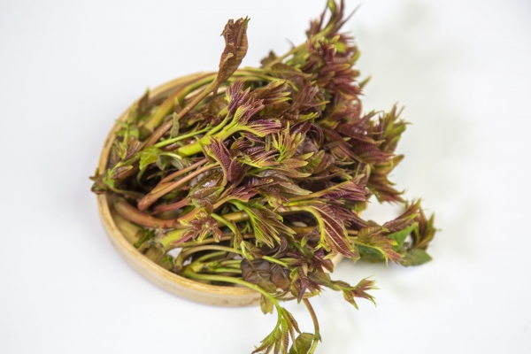 香椿芽有什么營養(yǎng)價值
