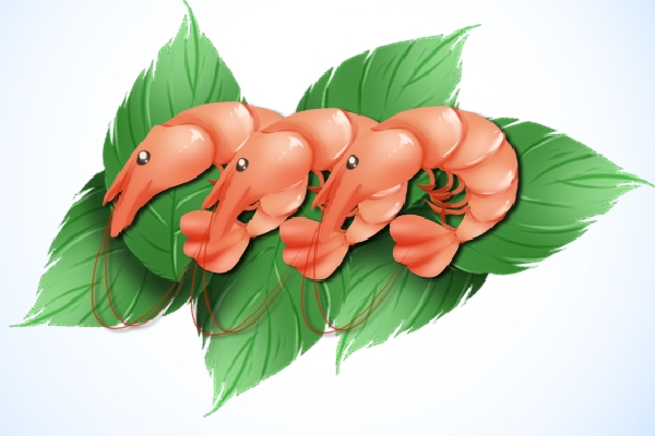 痛風可以吃淡水蝦嗎