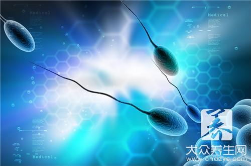 把精子吞進去會怎么樣