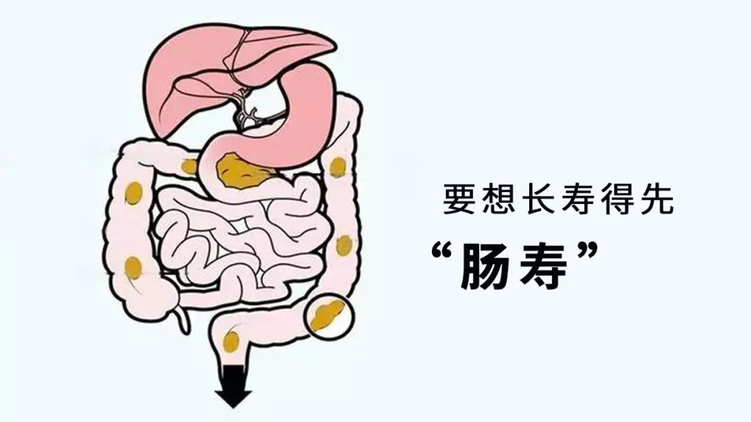 女性補充益生菌雖好,但不要進入誤區-易網健康養生網 女性補充益生菌雖好,但不要進入誤區
