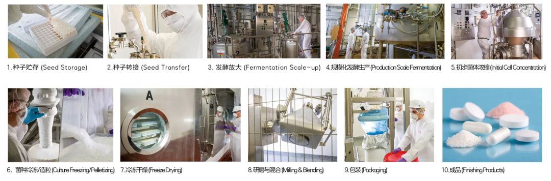 女性補充益生菌雖好,但不要進入誤區-易網健康養生網 女性補充益生菌雖好,但不要進入誤區