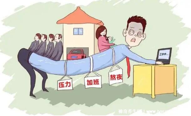 紅糖水泡枸杞能提高性功能嗎？工作繁重之余還要掌握X生活節奏