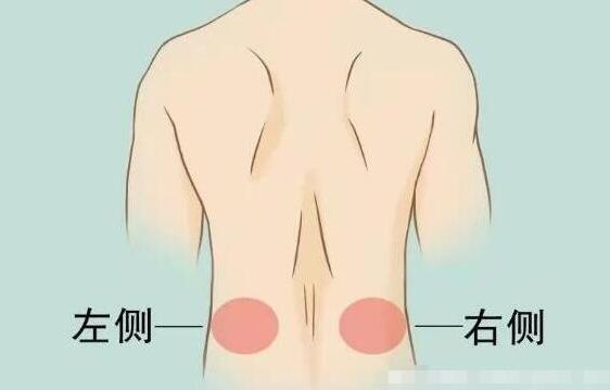 女性后背疼警惕四種病，腰部周圍痛小心婦科病(疼痛位置圖解)