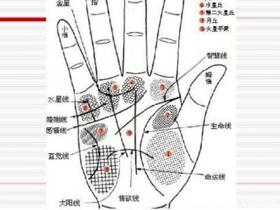 掌紋圖解女右手詳解圖片，事業(yè)線到中指根部會有所成就