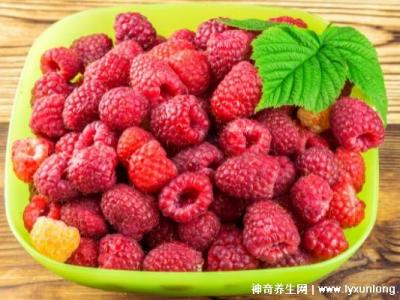 覆盆子越吃越大怎么回事，有補腎壯陽的功效(附3種壯陽吃法)