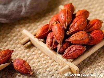 梔子對性功能的影響，適當(dāng)喝能增強(過量喝會引起腎寒/腎氣虛)