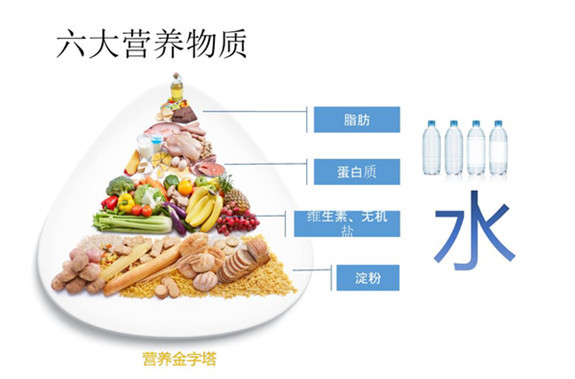 劉亦菲發福胖后依舊飲食不忌，怎樣吃才能保持好身材呢