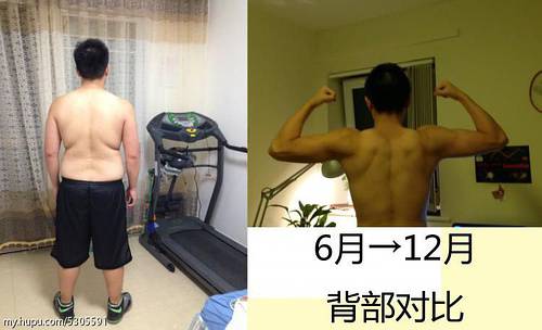 說說怎么在健身路上堅(jiān)持飲食，堅(jiān)持訓(xùn)練