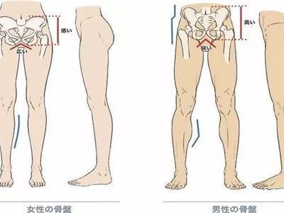 瑜伽老師的私密體式動作教程分析，打開胯部正確練習瑜伽