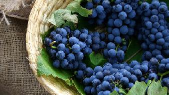 常吃粗糧可飲食減肥 哪些糧食算粗糧-易網<a href=http://www.fnaogov.cn/ target=_blank class=infotextkey>健康養生</a>網 常吃粗糧可飲食減肥 哪些糧食算粗糧