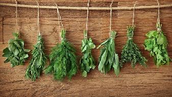 每天減肥的最佳時(shí)刻，一定要把握好