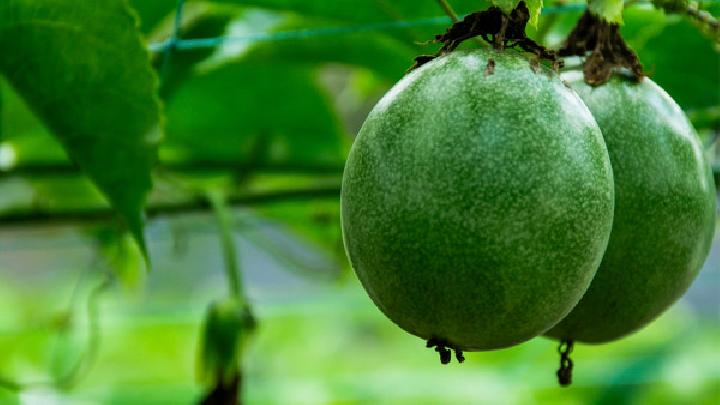 減肥吃什么效果好?推薦番茄雞蛋減肥法-易網健康<a href=http://www.fnaogov.cn/jkys/ target=_blank class=infotextkey>養生</a>網 減肥吃什么效果好?推薦番茄雞蛋減肥法