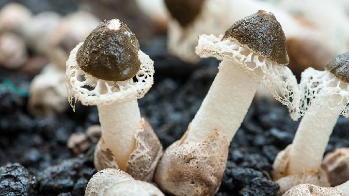 產(chǎn)后如何減肥？產(chǎn)后減肥3大瑜伽動作推薦