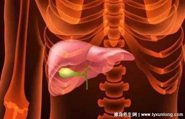 膽囊息肉最怕三種運(yùn)動(dòng)，散步/游泳/瑜伽(千萬(wàn)別舉重爬山)