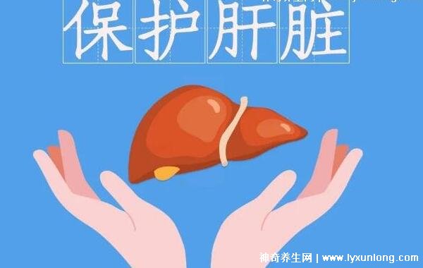 肝臟最怕三個(gè)運(yùn)動(dòng)脂肪肝，慢跑/瑜伽/游泳(附養(yǎng)肝第一水果)
