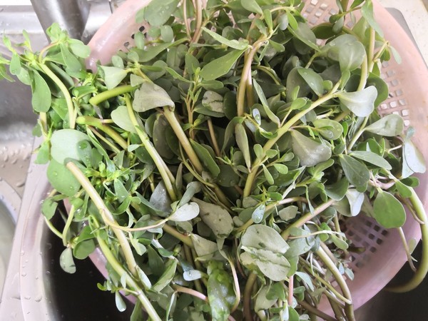 馬齒莧菜饃饃的做法-家常味蒸菜譜-易網<a href=http://www.fnaogov.cn/ target=_blank class=infotextkey>健康養生</a>網 馬齒莧菜饃饃的做法-家常味蒸菜譜