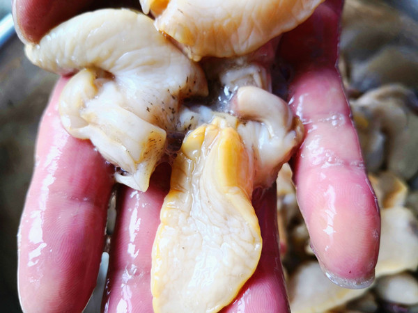 蒜苔炒假鮑魚的做法-咸鮮味炒菜譜-易網健康養生網 蒜苔炒假鮑魚的做法-咸鮮味炒菜譜