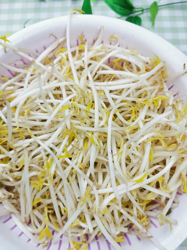 醋溜綠豆芽的做法-酸辣味炒菜譜