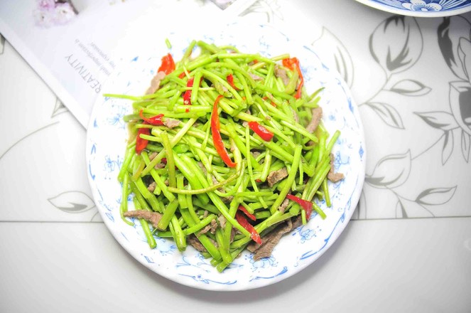 蘆蒿炒肉絲的做法-家常味炒菜譜-易網健康養生網 蘆蒿炒肉絲的做法-家常味炒菜譜