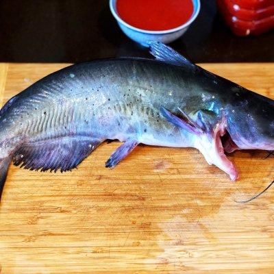 貴州凱里酸湯魚的做法的做法-酸辣味煮菜譜