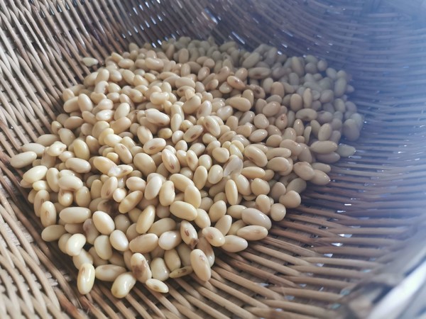 麻辣豆的做法-麻辣味炒菜譜-易網健康養生網 麻辣豆的做法-麻辣味炒菜譜