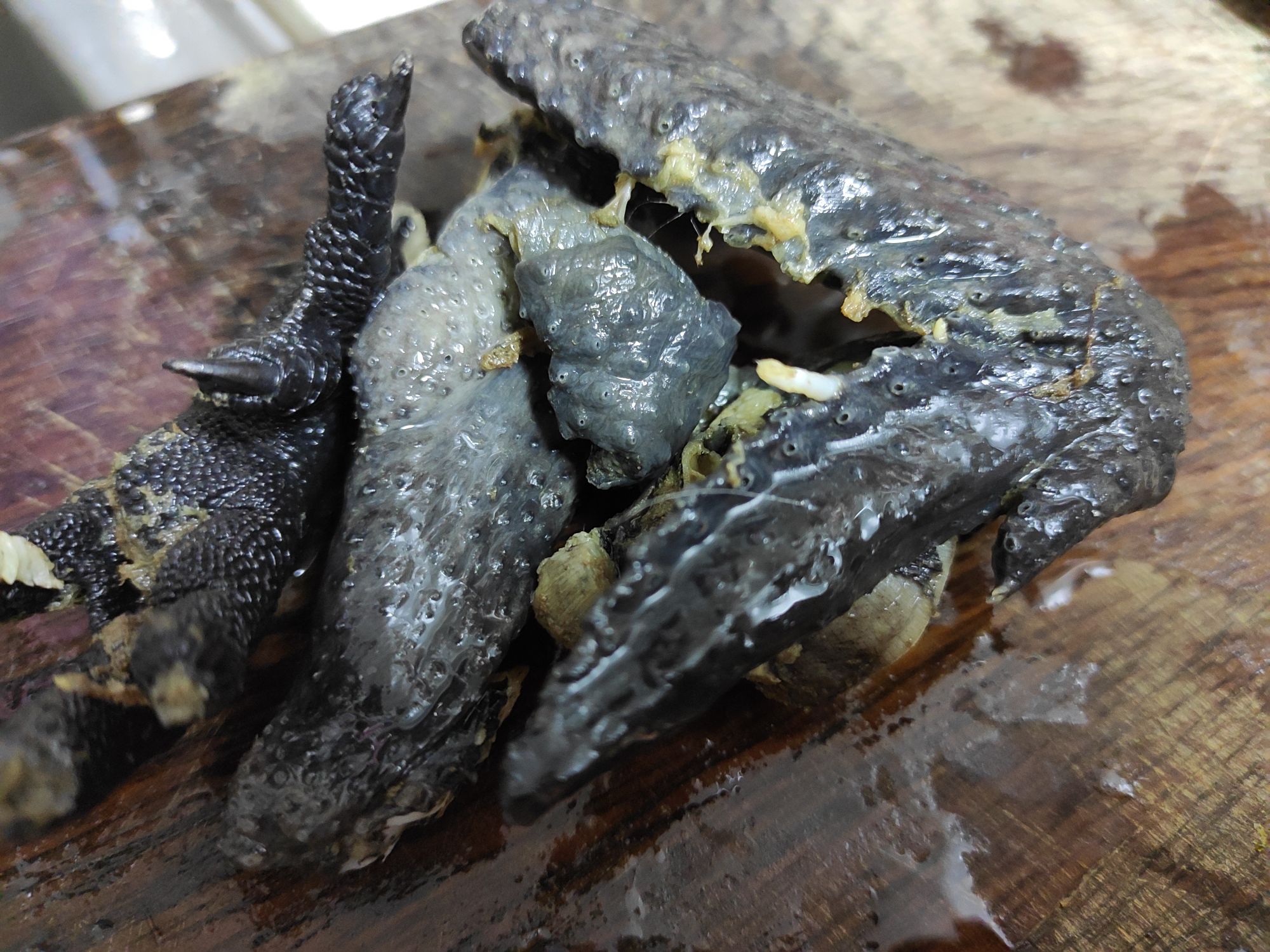 老酒燉烏雞，滋補好湯的做法-家常味燉菜譜