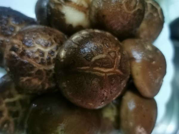 變裝簡(jiǎn)版佛跳墻的做法-家常味燜菜譜-易網(wǎng)健康養(yǎng)生網(wǎng) 變裝簡(jiǎn)版佛跳墻的做法-家常味燜菜譜