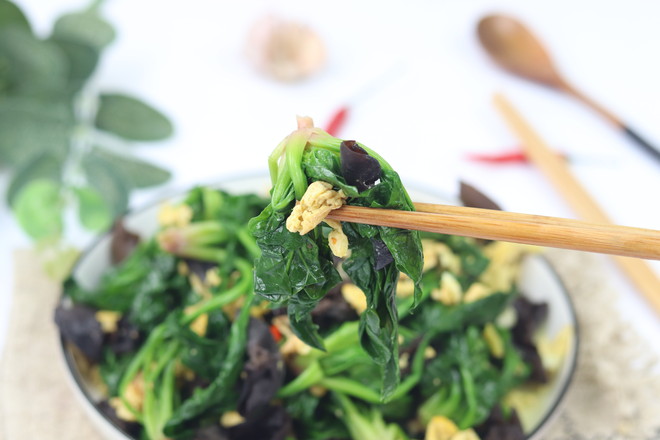 雞蛋木耳炒菠菜的做法-家常味炒菜譜-易網(wǎng)健康養(yǎng)生網(wǎng) 雞蛋木耳炒菠菜的做法-家常味炒菜譜