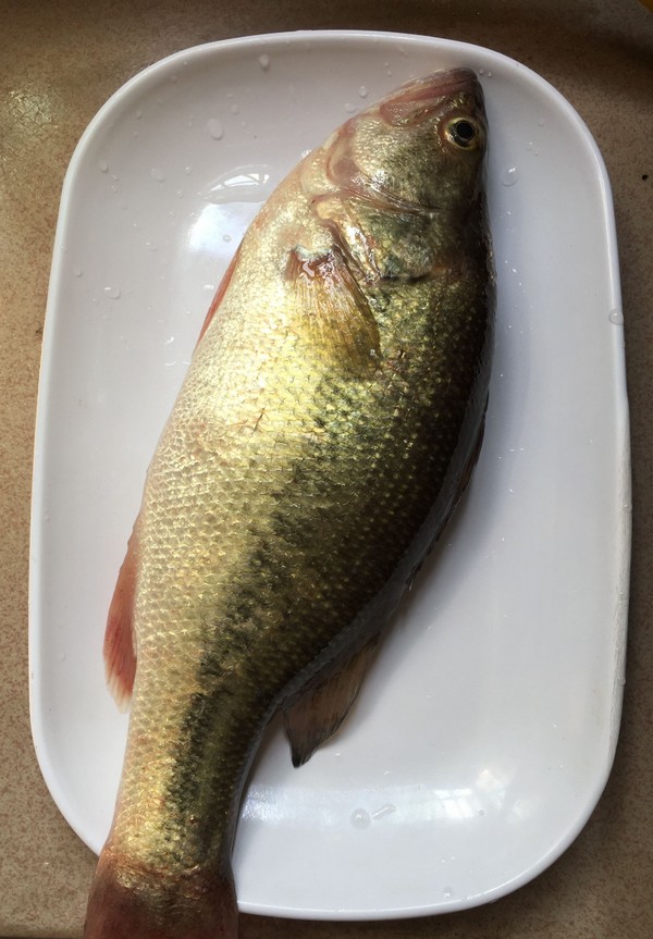 蔥香鱸魚的做法-家常味蒸菜譜-易網(wǎng)<a href=http://www.fnaogov.cn/ target=_blank class=infotextkey>健康養(yǎng)生</a>網(wǎng) 蔥香鱸魚的做法-家常味蒸菜譜