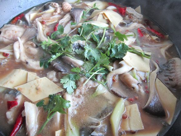 蘑菇燉鯉魚的做法-家常味燉菜譜-易網健康養生網 蘑菇燉鯉魚的做法-家常味燉菜譜