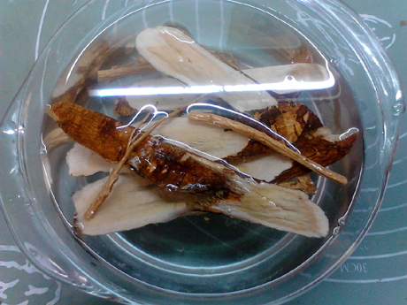 參芪猴菇燉雞的做法-咸鮮味燉菜譜-易網(wǎng)健康養(yǎng)生網(wǎng) 參芪猴菇燉雞的做法-咸鮮味燉菜譜