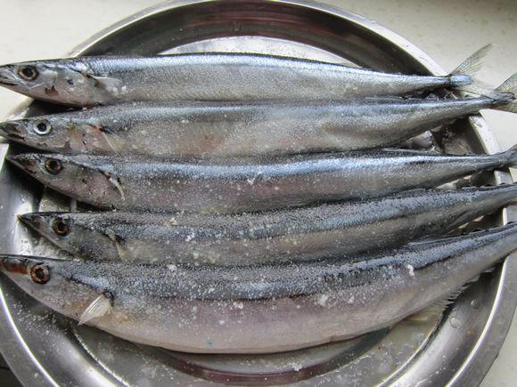 孜然烤秋刀魚的做法-家常味烤菜譜-易網(wǎng)健康養(yǎng)生網(wǎng) 孜然烤秋刀魚的做法-家常味烤菜譜