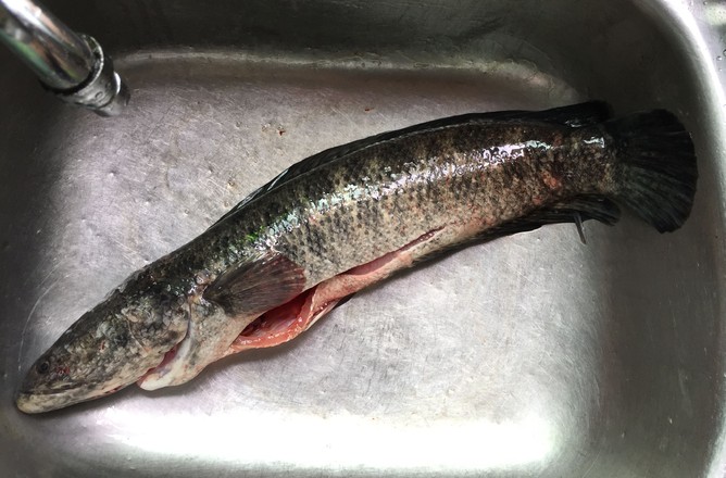 肥腸煮黑魚的做法-香辣味煮菜譜-易網健康養生網 肥腸煮黑魚的做法-香辣味煮菜譜