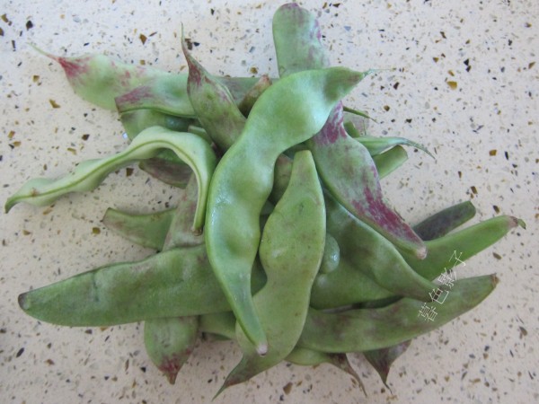 燜燉油豆角的做法-家常味燉菜譜-易網<a href=http://www.fnaogov.cn/ target=_blank class=infotextkey>健康養生</a>網 燜燉油豆角的做法-家常味燉菜譜