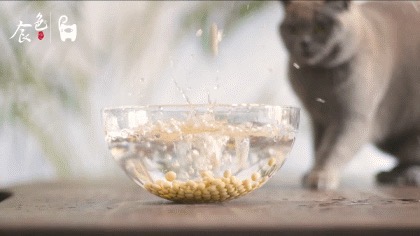 黃豆燒豬尾！超級好吃的家常菜，學會了這道菜，誰還去吃紅燒肉和大豬蹄子啊？的做法-咸鮮味燒菜譜