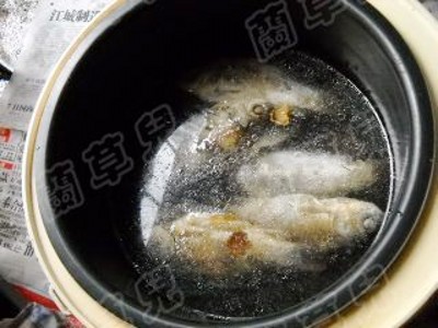蘿卜絲燉野鯽魚(yú)的做法-家常味燉菜譜