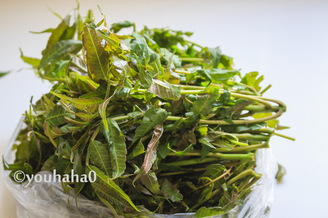 香椿芽鵝蛋并的做法-家常味炒菜譜-易網(wǎng)<a href=http://www.fnaogov.cn/ target=_blank class=infotextkey>健康養(yǎng)生</a>網(wǎng) 香椿芽鵝蛋并的做法-家常味炒菜譜