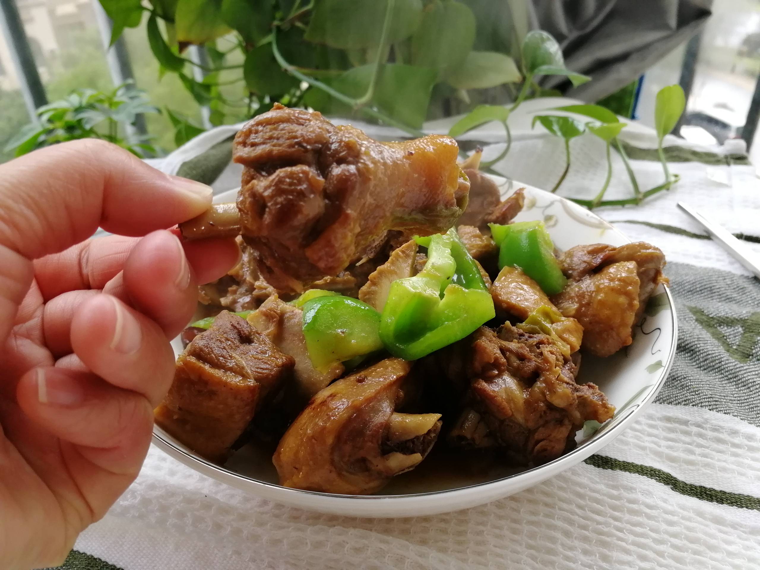 紅燒鵝肉的做法-咸鮮味煮菜譜-易網(wǎng)健康養(yǎng)生網(wǎng) 紅燒鵝肉的做法-咸鮮味煮菜譜