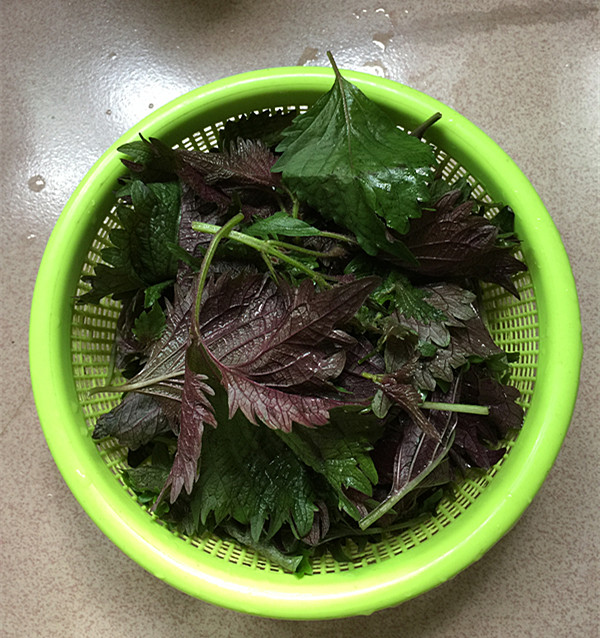 紫蘇煎雞蛋的做法-家常味煎菜譜-易網(wǎng)健康養(yǎng)生網(wǎng) 紫蘇煎雞蛋的做法-家常味煎菜譜
